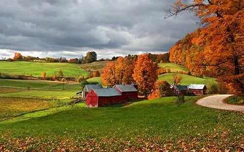 2.jpg 640.webp (1).jpg