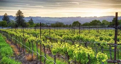 6.jpg 640 (3).webp (1).jpg